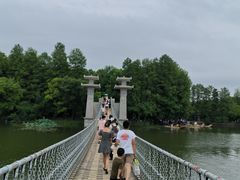 -东湖落雁景区
