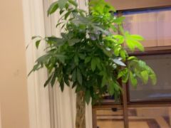 -洛阳宴·洛阳菜(南昌路店)