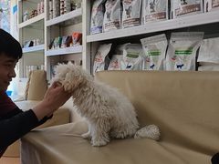-宠颐生中康贝怡动物医院