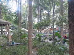 -二荆条·蜀鲜汇城市森林火锅