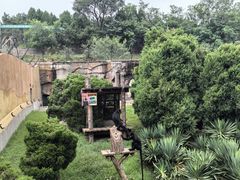 -大连森林动物园