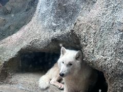 -西安曲江海洋极地公园