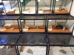 -乐宠宠物店(世纪金源店)