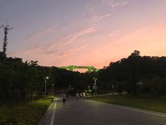 -飞凤山奥体公园