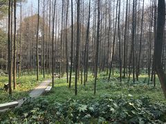 -盐帮食坊•小河帮川菜(四川师大店)