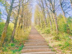 -东白山