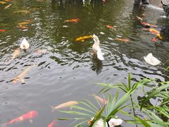 -顺德渔村·岭南一号