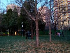 -双榆树公园