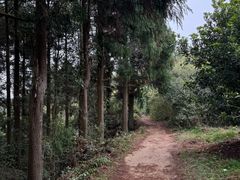 -大罗山风景区