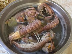 -贞姨美食·老字号海鲜大排档