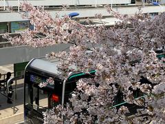 -南浦大桥长途旅游客运站