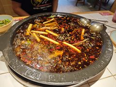 -费明中罗非鱼(大石坝店)