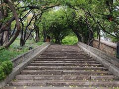 -烟台山景区