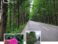 -泗洪洪泽湖湿地景区