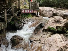 -九龙江国家森林公园