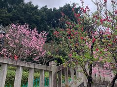 -乌山风景区