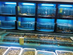 水产区-和记小菜(七宝店)