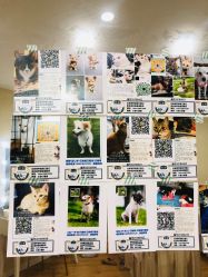 -轻妆Feel·半永久纹眉眼线