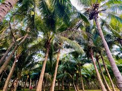 -白沙门生态公园