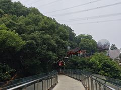 -巴倒烫陆派火锅山庄(南山总店)