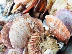 -大锅强·蒸海鲜青岛菜(吾悦广场店)