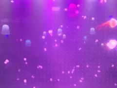 -欧亚达商业广场(红桥店)