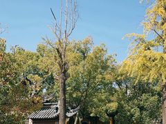 -西园戒幢律寺