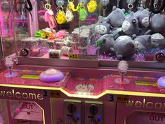 -探险阳光乐园(东区利和店)