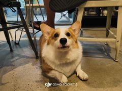 -微焙咖啡工厂(海峡创意产业园·红坊店)