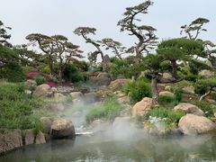 -罗红摄影艺术馆