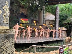 -海南槟榔谷黎苗文化旅游区