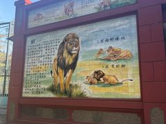 -保定市动物园