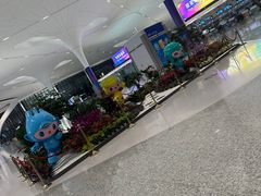 -杭州萧山国际机场