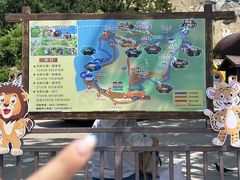 -西霞口神雕山野生动物世界