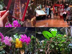 -正佳雨林生态植物园