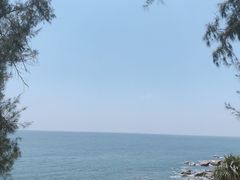 -广东惠东海龟国家级自然保护区