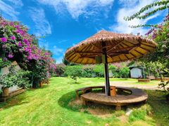 -瑞丽独树成林风景区