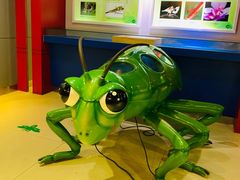 -上海昆虫博物馆