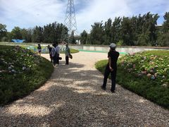 -海上田园