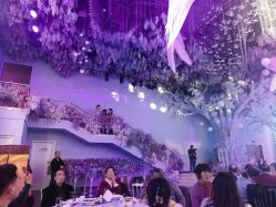 -东方薇婷艺术中心(北外滩店)