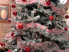 -弗兰克牛排西餐厅Ribone steak house(柠檬花园店)