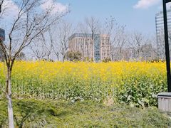 -杭州城北体育公园