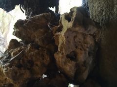 -绿光森林餐厅