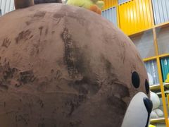 -line friends(明洞旗舰店)