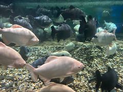 -成都浩海立方海洋公园