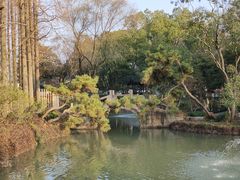 -上海醉白池公园