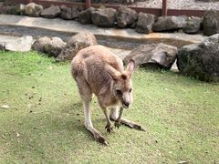 -可伦宾野生动物保护区