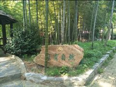 -宝岩生态观光园