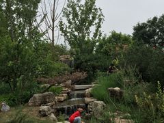 -武清南湖绿博园