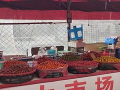 -长春农博园